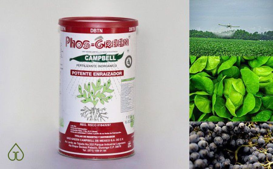 Phos Green Campbell Fórmula 12-60-0 Fertilizante Foliar, Potente Enraizador