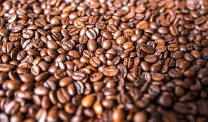 Programa para el cultivo de Café