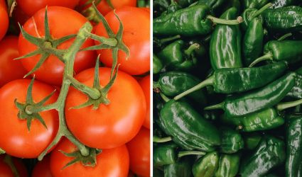 Programa para el cultivo de Chile y Tomate