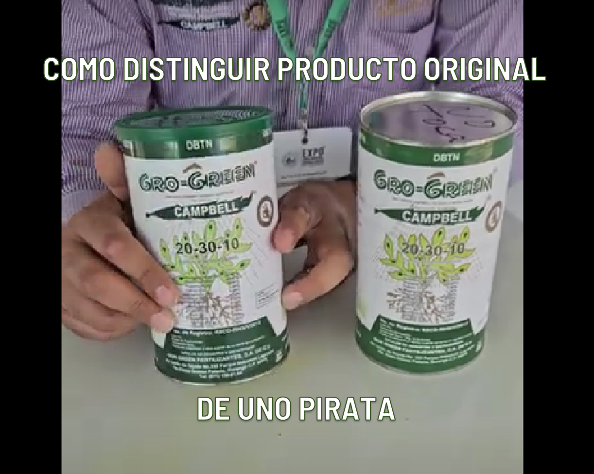 Revisa las diferencias de un producto Original contra uno Pirata